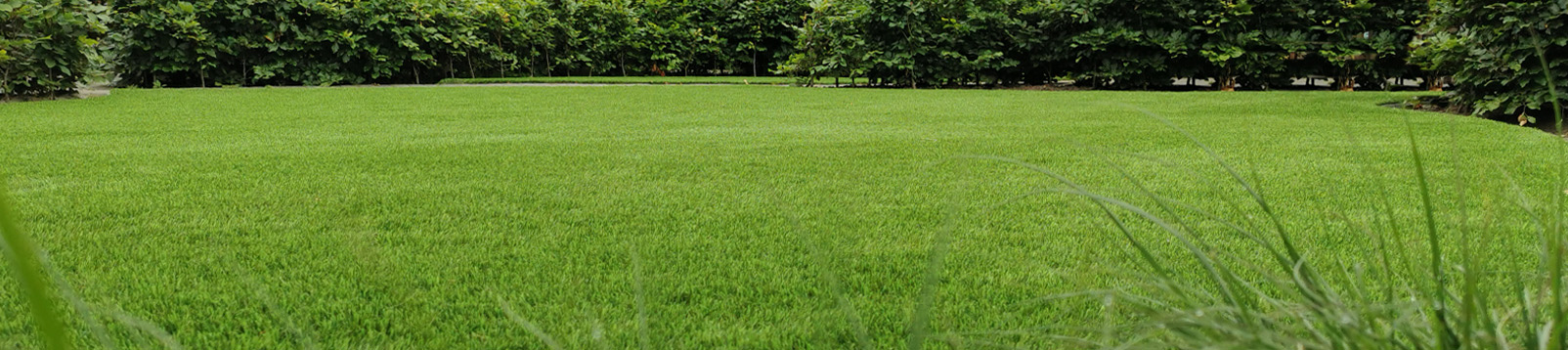 Banner kunstgras